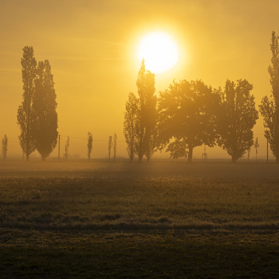 Oktober 2025 – Morgenstimmung