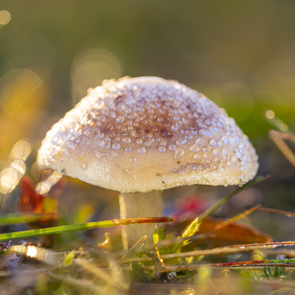 Oktober 2025 – Herbststimmung