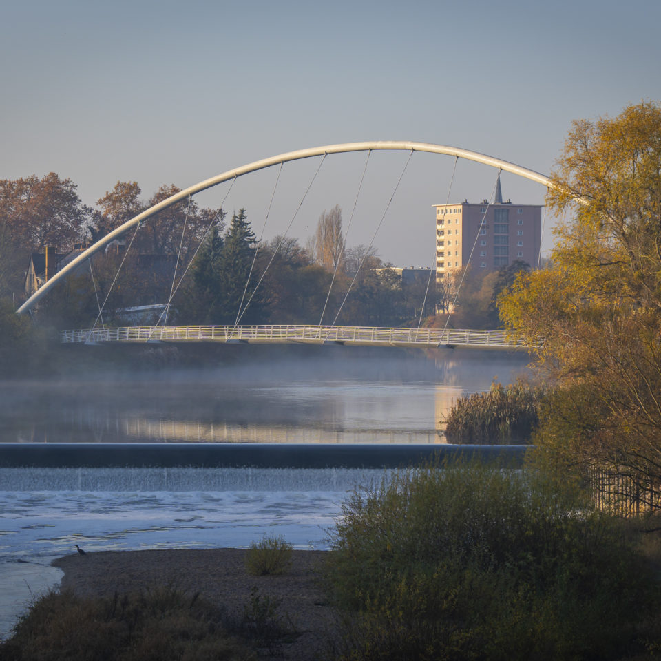 November 2025 – Dessauer Mulde