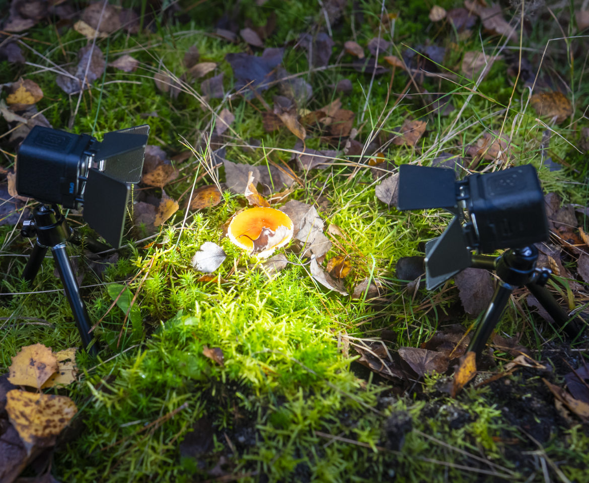 SMALLRIG RM01 LED Videolicht