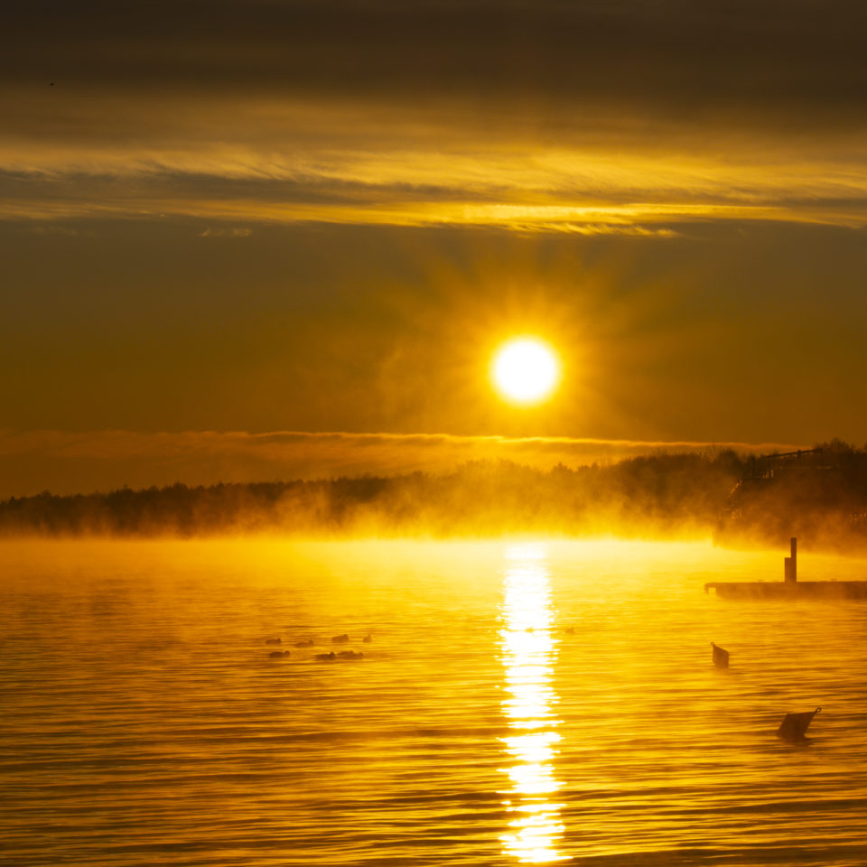 November 2025 – Morgens an der Goitzsche