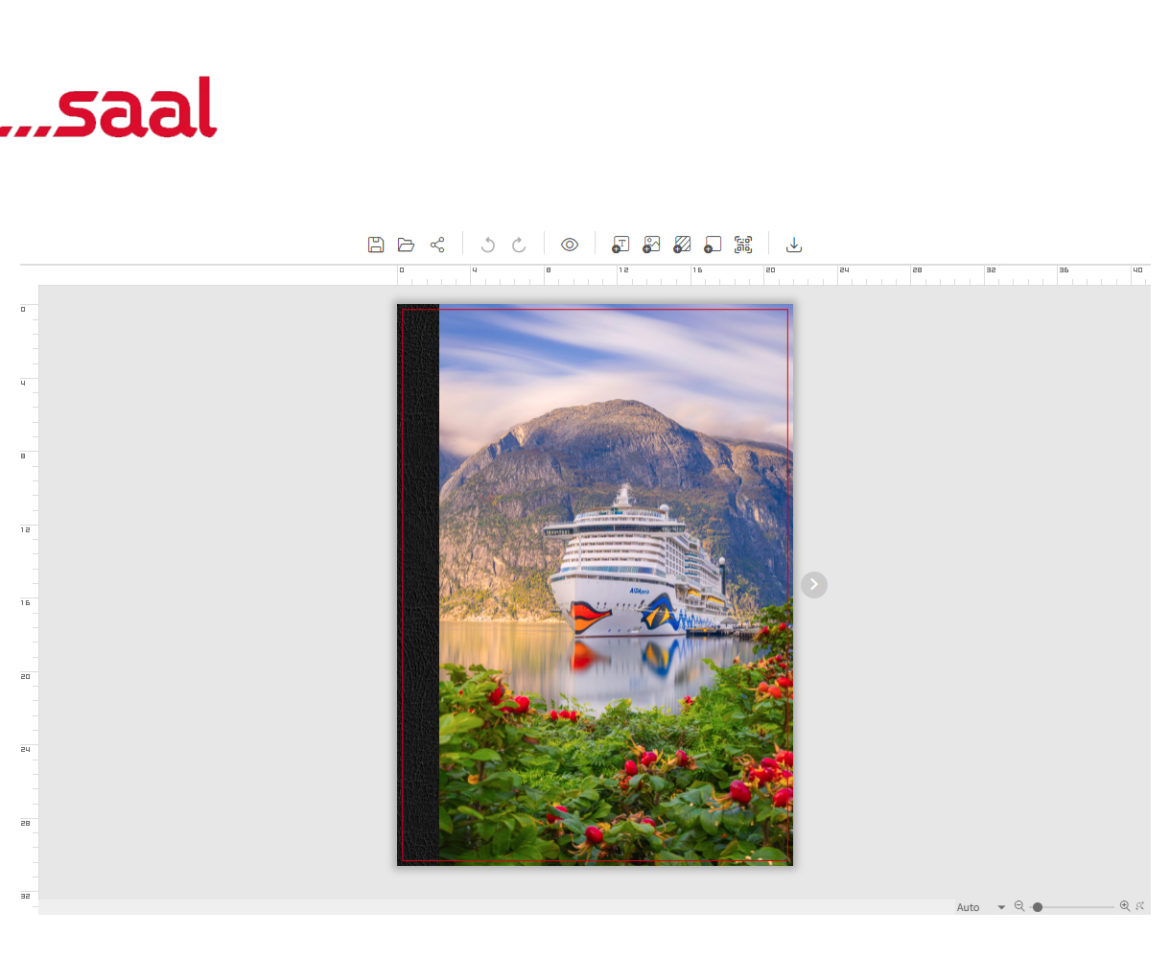 Saal Digital Professional Line Fotobuch