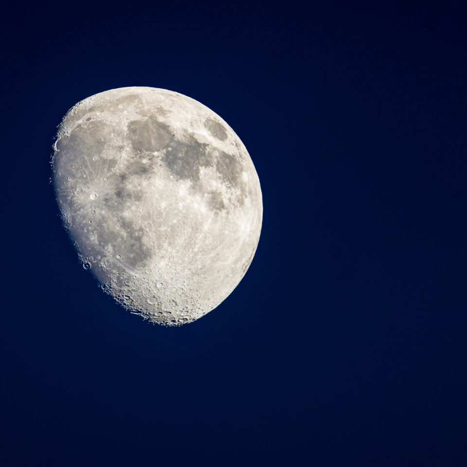 Dezember 2025 – Halbinsel Pouch