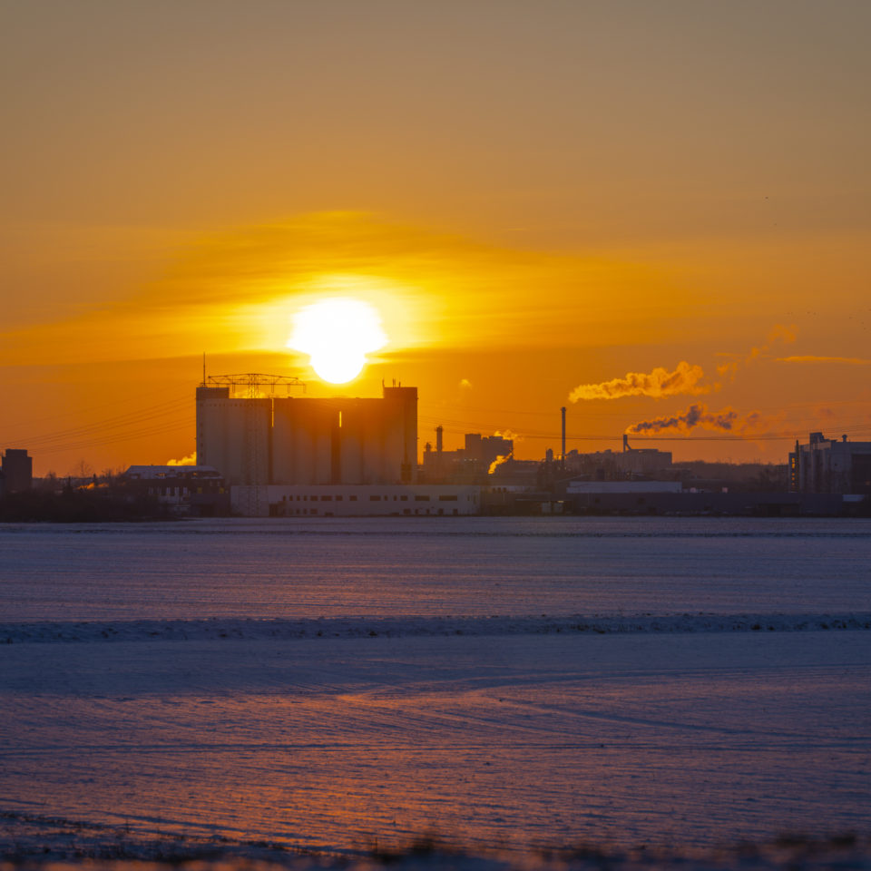 Januar 2026 – Goldene Aue