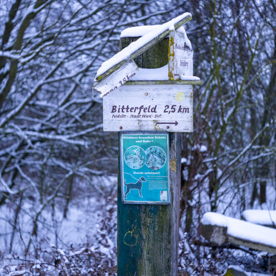 Januar 2026 – Opas 50er (farbe)