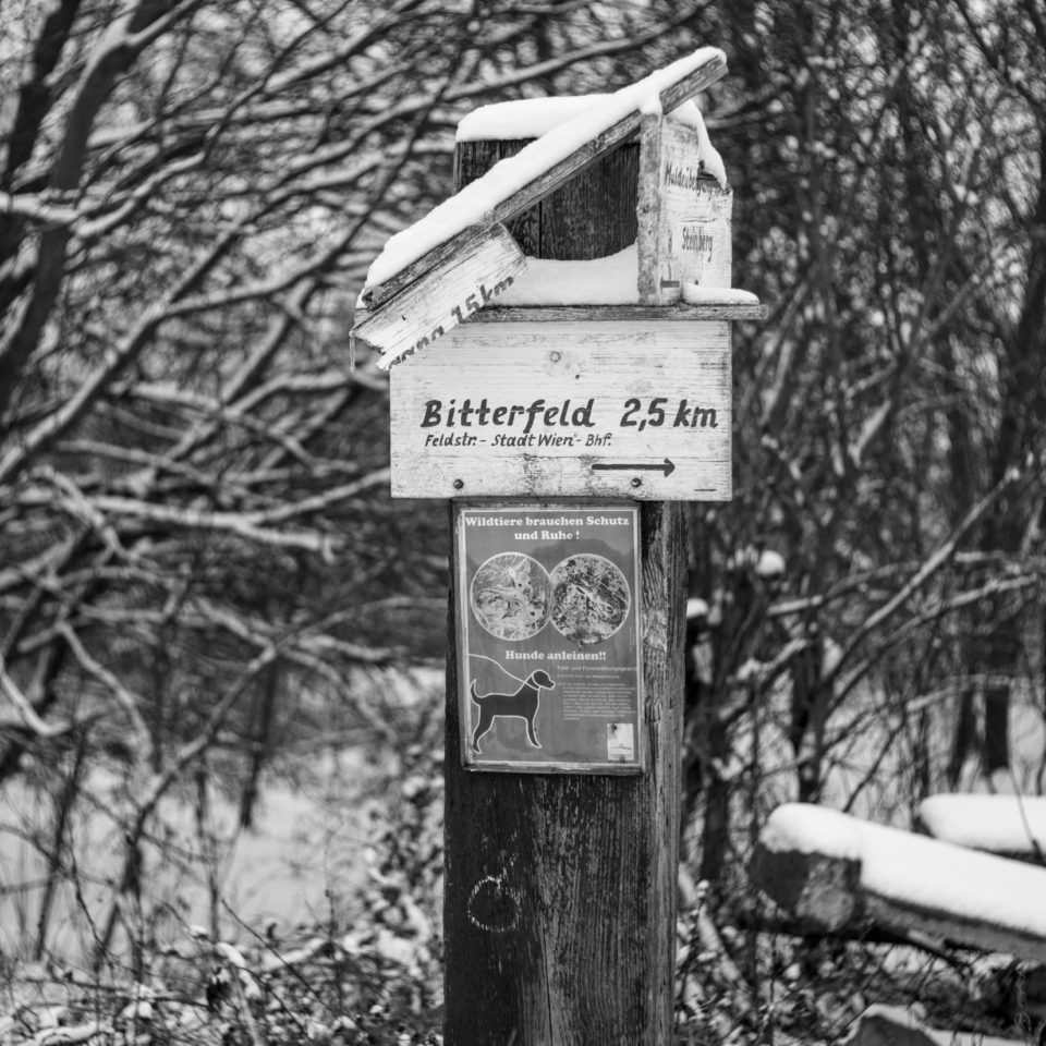 Januar 2026 – Opas 50er (SW)