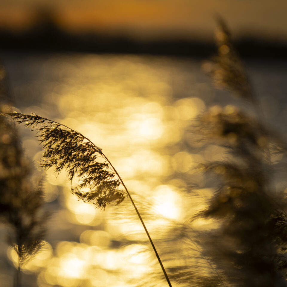 April 2026 – Frühling III