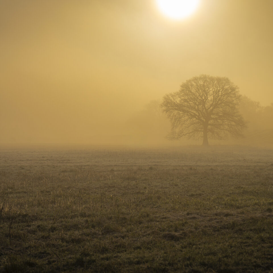 April 2026 – Frühling IV
