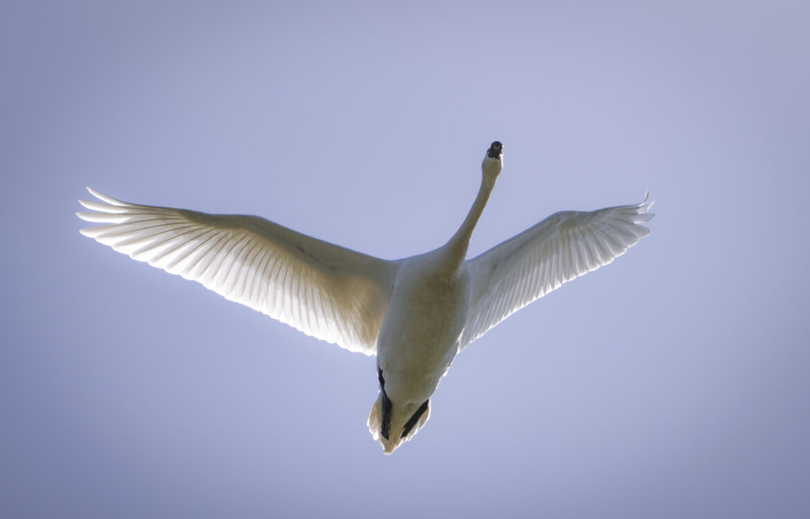 Ein Feierabend an der Mulde