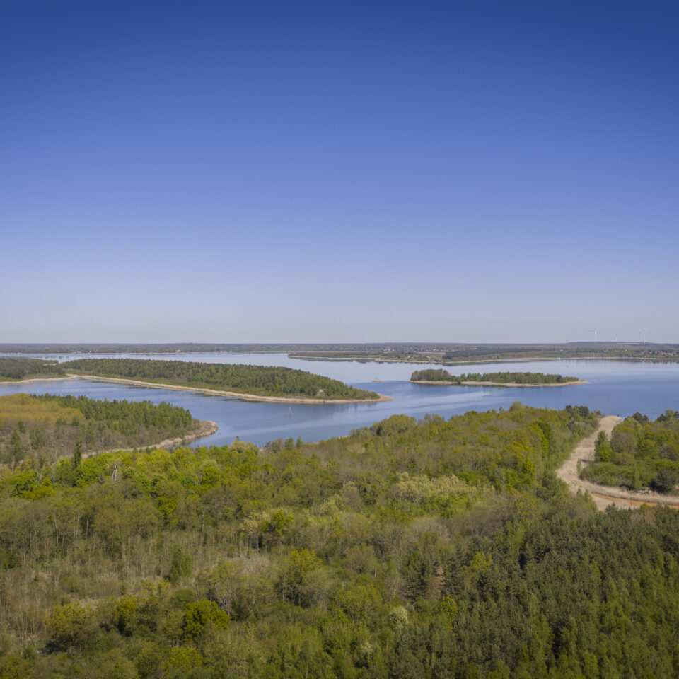 Mai 2026 – Goitzsche Wildnis